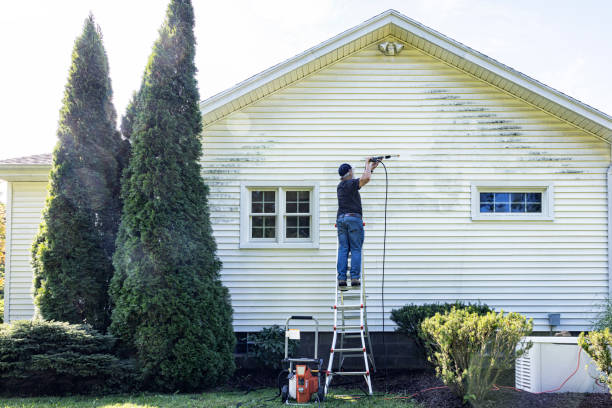 Animal Enclosure Cleaning in Los Alamos, CA